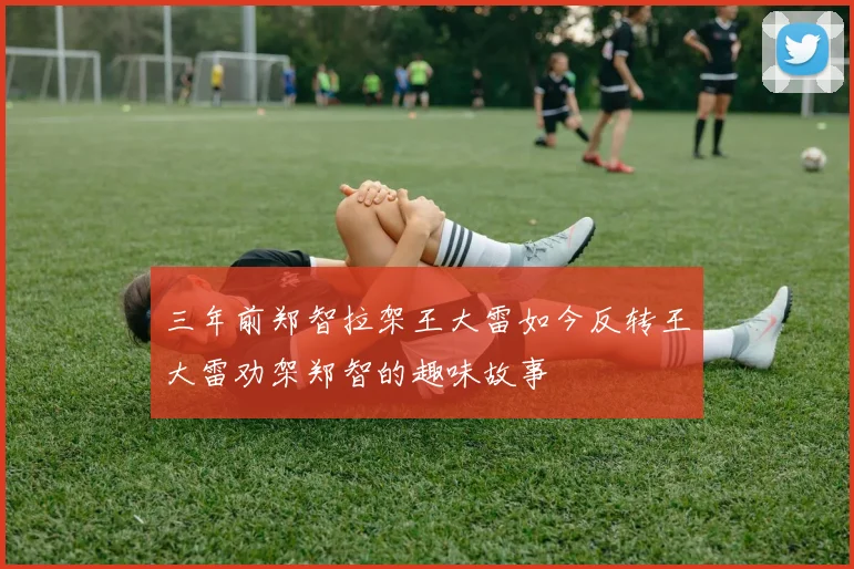 三年前郑智拉架王大雷如今反转王大雷劝架郑智的趣味故事