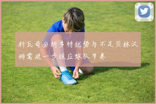 科瓦奇分析多特优势与不足贝林汉姆需进一步适应球队节奏